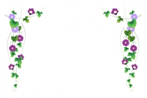 牵牛花枝条边框
