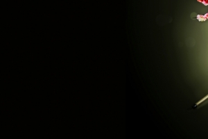 墨盘 毛笔 桃花 中国风 墨韵 3440x1440 带鱼屏 壁纸