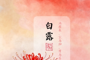 红色花朵节气白露
