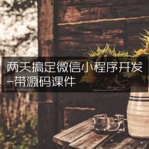 两天速成微信小程序开发，含源码课件