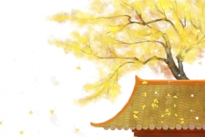 秋天树木树叶屋檐