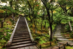 山上的石阶小路海报背景