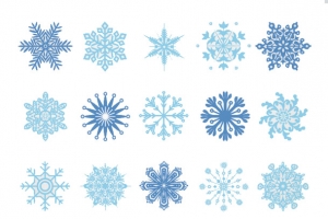 各种雪花
