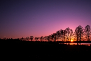 树剪影 芬兰 美丽的夕阳4K风景壁纸