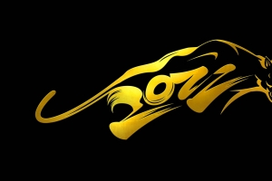 2022年黄金虎黑金4k壁纸
