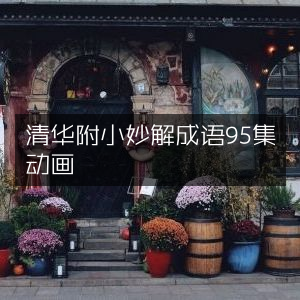 清华附小成语妙解动画全集95集