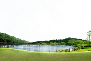 春季自然风景