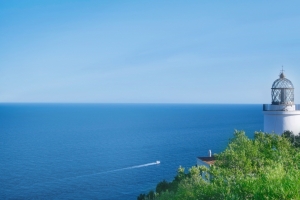 蓝色大海 一望无际 海边 树 风景 4k 电脑 壁纸