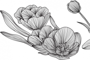 线描植物叶子花朵png