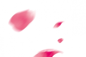 花瓣漂浮