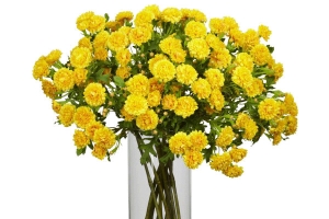 一束小野菊
