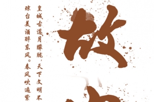 中国风美丽故宫宣传海报