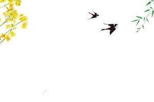 春季油菜花小清新边框