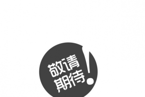 敬请期待