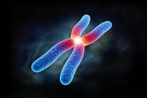 生物基因染色体dna细胞素材