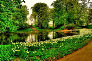 湖边小路公园海报背景