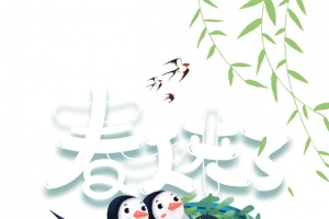 春分柳条燕子春天