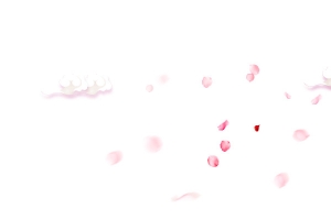 粉色玫瑰花瓣