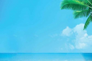 海边自然风光背景