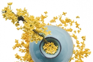 中秋装饰素材桂花