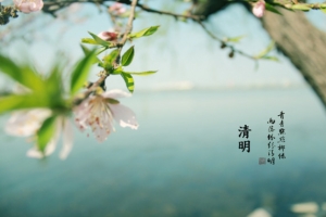 春天 四月 清明节 青团 海报 背景 1