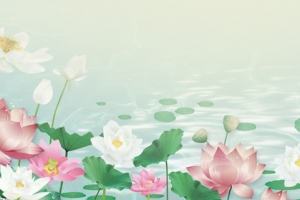 夏至荷花小清新绿色背景
