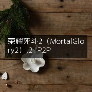 荣耀决战2（Mortal Glory II）P2P版
