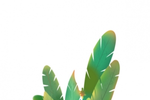 植物扁平海报点缀