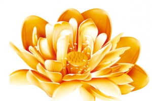 黄金莲花花卉背景手绘