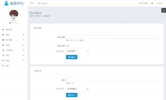 在线支付电脑端白色