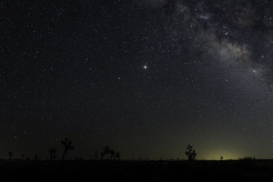 棵树 星空 星星 夜晚 地平线 4k壁纸 3840x2160