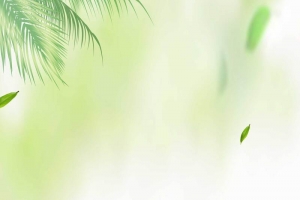 夏天椰子背景图片