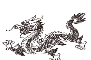 龙图案中国龙