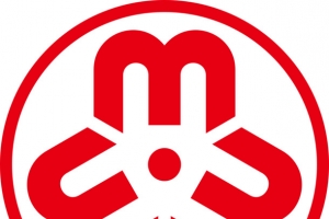 中华妇女联合会LOGO
