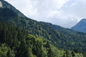 斜坡 树木 森林 山脉 自然 天空 风景 4k壁纸 3840x2160
