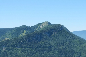 树 山 坡 森林 4k壁纸 3840x2160