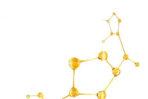 基因短链  分子 DNA 氨基酸