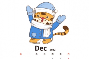2022虎年手绘卡通老虎日历12月份