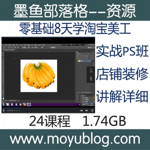 蚂蚁推门PS实战班，零基础8日精通淘宝美工，店铺装修设计视频教程速成