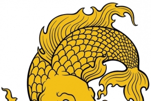黄色鱼  气愤