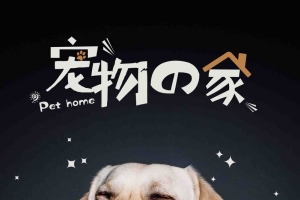 宠物的家宠物用品店