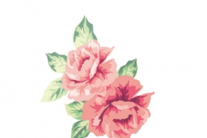 花卉