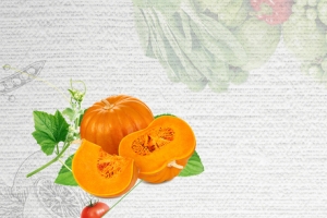 美味南瓜文艺手绘简约灰色banner