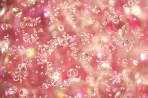 粉色花瓣水珠钻石壁纸