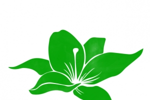 叶子，绿叶，树叶89