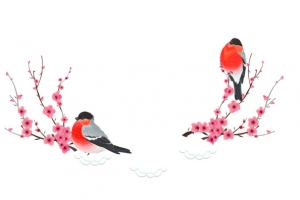 红色花鸟