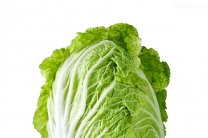 大白菜高清素材