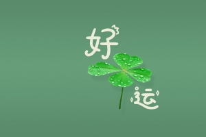 好运 四叶草 4K壁纸 3840x2160 护眼