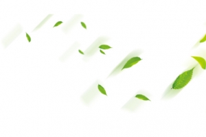 绿色清新树叶漂浮素材