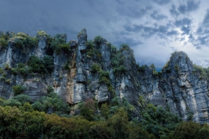 3840x2160  piopio 新西兰 岩石 石头 草 树壁纸 背景